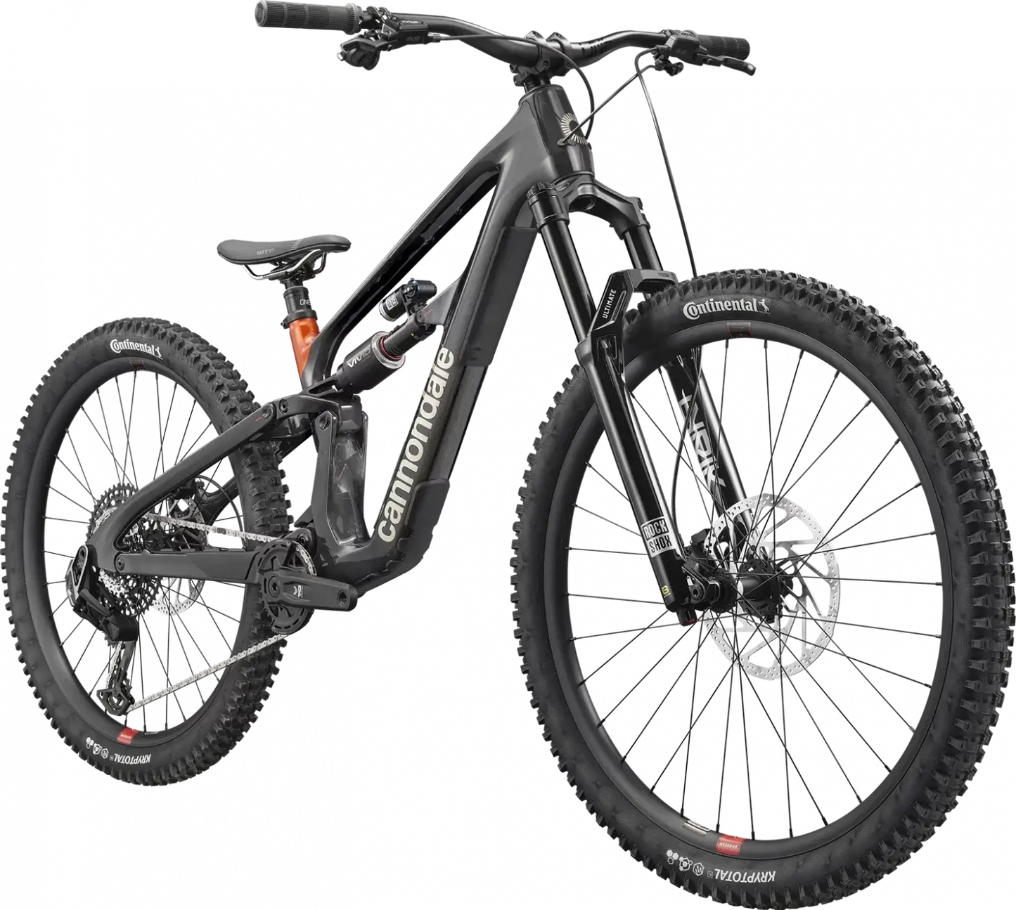 Cannondale Bad Habit 1 RAW mountain bike featuring lightweight carbon frame and powerful plus tires.