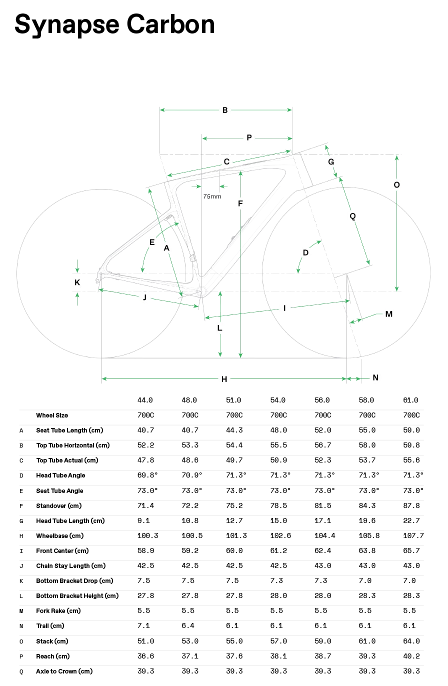 Cannondale Synapse Carbon Tabela rozmiarów 
