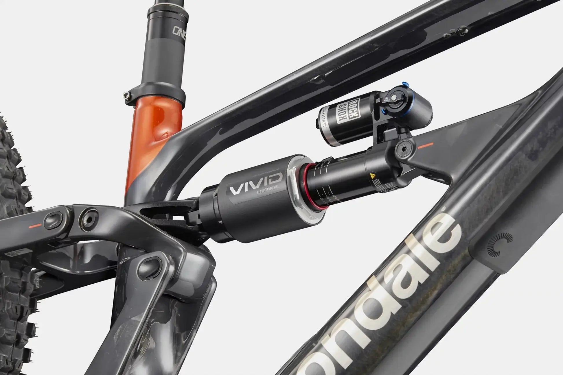 Cannondale Bad Habit 1 RAW bike suspension system featuring Vivid shock for optimal performance.