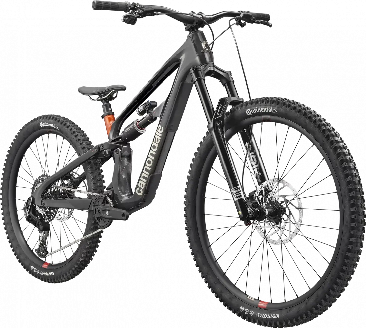 Cannondale Bad Habit 1 RAW mountain bike featuring lightweight carbon frame and powerful plus tires.